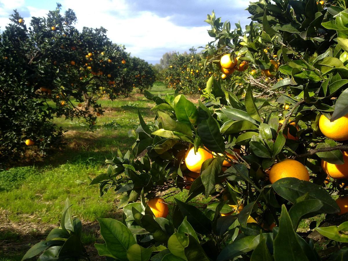 Su Canonigu Agriresort Tortolì Zewnętrze zdjęcie